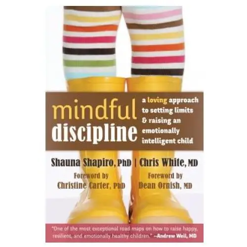 Mindful Discipline