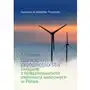 Modele biznesowe przedsiębiorstw związane z funkcjonowaniem elektrowni wiatrowych w Polsce Sklep on-line