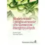 Modelowanie i prognozowanie cen surowców energetycznych Sklep on-line