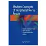 Modern concepts of peripheral nerve repair Springer international publishing ag Sklep on-line