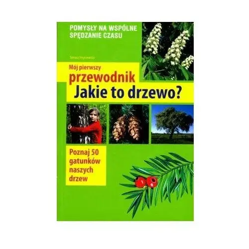 Mój pierwszy przewodnik. Jakie to drzewo?