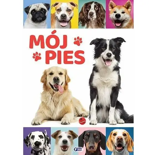 Mój pies