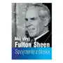 Mój stryj Fulton Sheen. Spojrzenie z bliska Sklep on-line