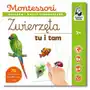 Montessori. Zwierzęta tu i tam. Karty sensoryczne z książeczką Sklep on-line