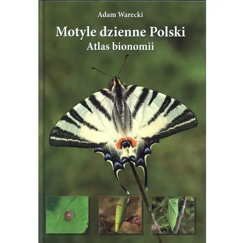 Motyle dzienne Polski Atlas bionomii
