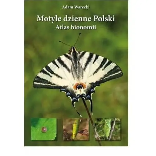 Motyle dzienne polski. atlas bionomii w.2021