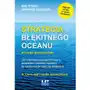 Strategia błękitnego oceanu Mt biznes Sklep on-line