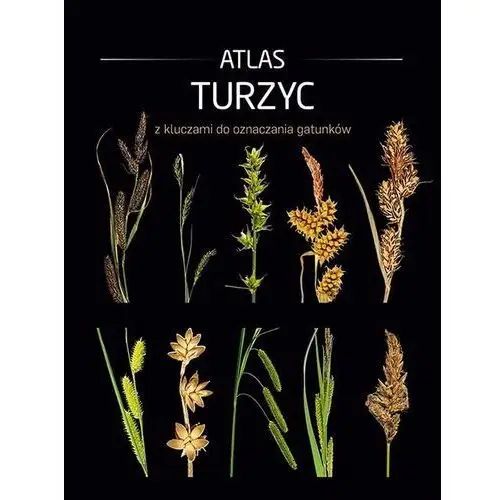 Atlas turzyc z kluczami do oznaczania gatunków - praca zbiorowa