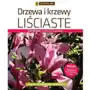 Drzewa i krzewy liściaste. katalog Multico Sklep on-line