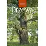 Drzewa. spotkania z przyrodą Sklep on-line