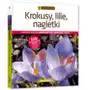 Krokusy, lilie, nagietki. Katalog, 8895 Sklep on-line