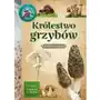 Multico Młody obserwator przyrody.królestwo grzybów Sklep on-line