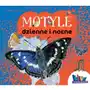 Multico Motyle dzienne i nocne Sklep on-line