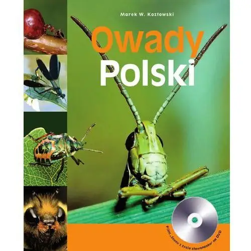 Owady polski