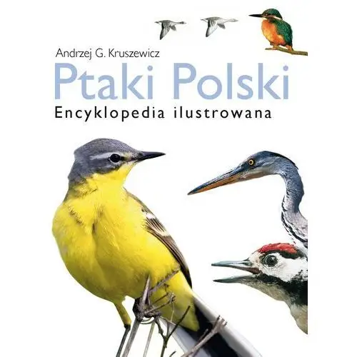 Ptaki polski. encyklopedia ilustrowana Multico