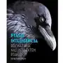 Ptasia inteligencja rozważania nad intelektem ptaków Multico Sklep on-line