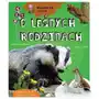 Multico Wojciech gil opowiada o leśnych rodzinach wyd. 2024 Sklep on-line