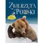 Zwierzęta polski. mała encyklopedia ilustrowana Multico Sklep on-line