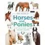 My Book of Horses and Ponies Sklep on-line