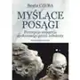 Myślące posągi. percepcja wsparcia społecznego przez żołnierzy, AZ#FE786E44EB/DL-ebwm/pdf Sklep on-line