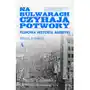 Na bulwarach czyhają potwory. Filmowa historia Ameryki Sklep on-line