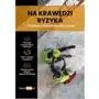 Na krawędzi ryzyka – studium wypadków przy pracy - ebook PDF Sklep on-line