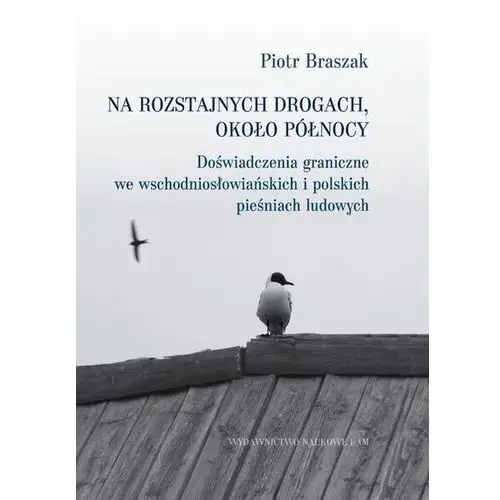 Na rozstajnych drogach około północy