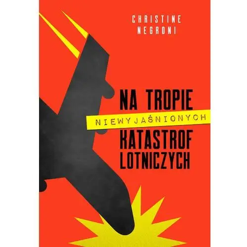 Na tropie niewyjaśnionych katastrof lotniczych