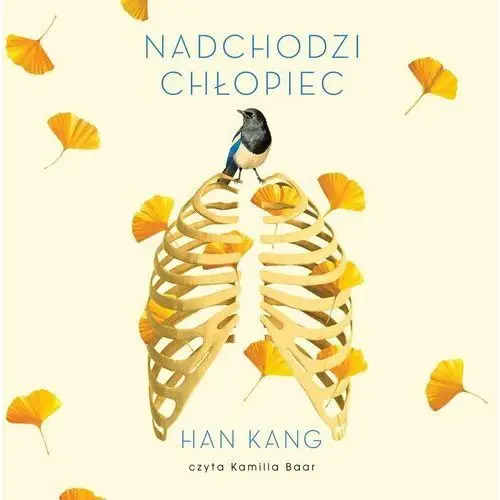 Nadchodzi chłopiec - audiobook