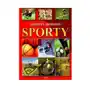 Najpopularniejsze sporty Sklep on-line