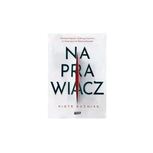 Naprawiacz