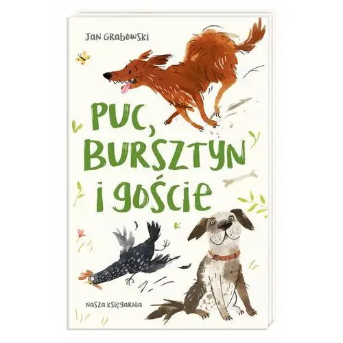 Puc, bursztyn i goście wyd. 2020 Nasza księgarnia