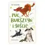 Puc, bursztyn i goście wyd. 2020 Nasza księgarnia Sklep on-line