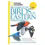 National geographic field guide to the birds of eastern nort Sklep on-line