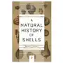 Natural History of Shells Sklep on-line