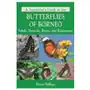 Naturalist's guide to the butterflies of borneo John beaufoy publishing ltd Sklep on-line