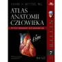 Netter Atlas anatomii człowieka. Polskie mianownictwo anatomiczne Sklep on-line