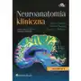 Neuroanatomia kliniczna Sklep on-line