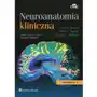 Neuroanatomia kliniczna Paul Young Sklep on-line