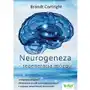 Neurogeneza - regeneracja mózgu Sklep on-line