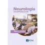 Neurologia. Kompendium Sklep on-line