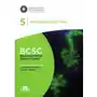 Neurookulistyka. Bcsc 5. Basic And Clinical Science Course Sklep on-line