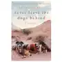 Never leave the dogs behind Harpercollins publishers inc Sklep on-line
