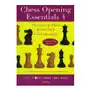 Chess opening essentials, volume 4 New in chess Sklep on-line