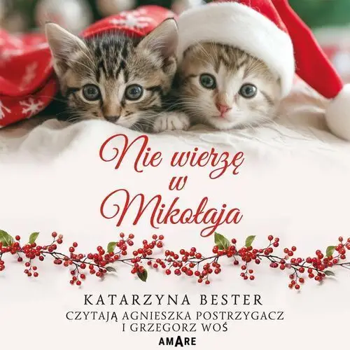 Nie wierzę w Mikołaja - audiobook