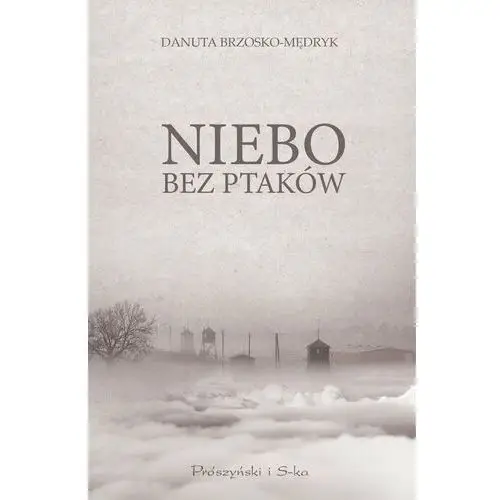 Niebo bez ptaków