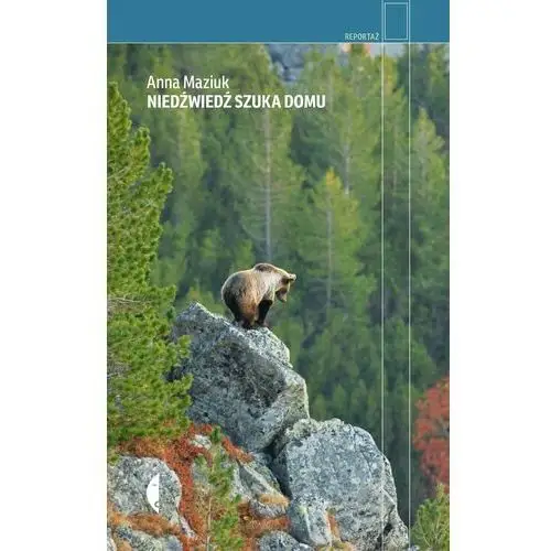 Niedźwiedź szuka domu - ebook mobi