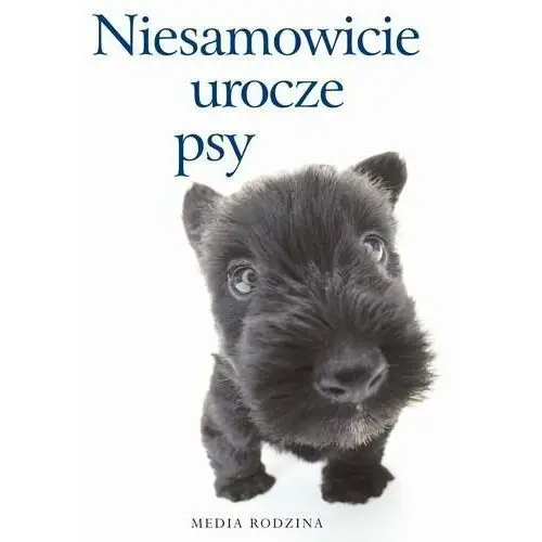 Niesamowicie urocze psy