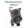 Niesamowicie urocze psy Sklep on-line