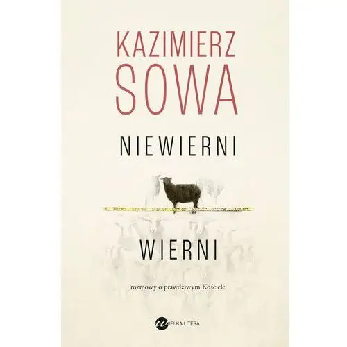 Niewierni wierni. Rozmowy o prawdziwym Kościele